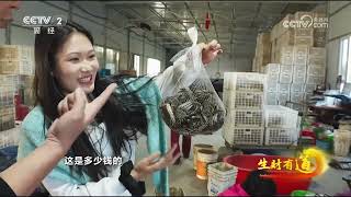 《生财有道》 20251031 稻田养好蟹 供应链生财 |  财经风云