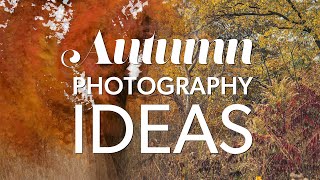 Autumn Photography Ideas with Mirrorless Cameras and Nikon Z 6iii, Z 8, and Z 9 Multiple Exposures Autumn Photography Ideas with Mirrorless Cameras and Nikon Z 6iii, Z 8, and Z 9 Multiple Exposures