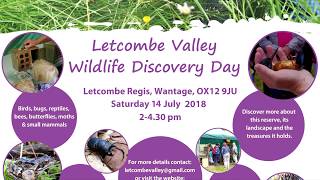 Letcombe Valley Discovery Day 2018