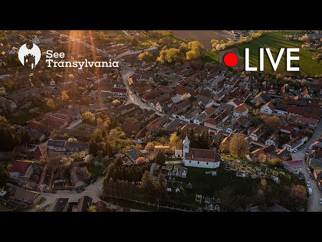 Sacele Panoramic Webcam - Metromat Brasov - 🔴 Live Webcam