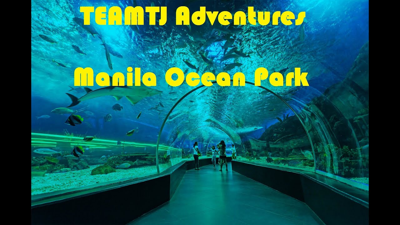 TEAMTJ Adventures Manila Ocean Park & Yexel Toy Museum YouTube