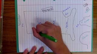Mapping Fluency Colonization