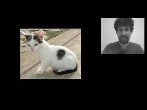 [Deepmath] 14.3. Reconnaissance d'images - Chat vs chien