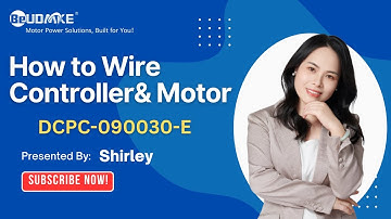 How to have the wire connection for Brushless DC Servo Motor and Driver ?