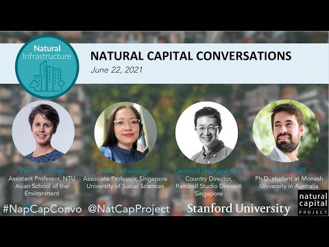Natural Capital Conversations: The Value of Natural Infrastructure in Urban Planning (6/22/2021)