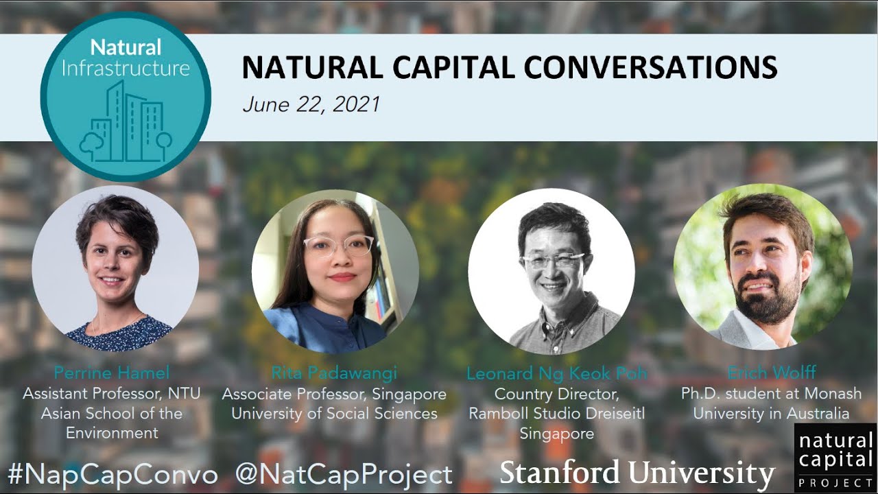 Natural Capital Conversations: The Value of Natural Infrastructure in Urban Planning (6/22/2021)