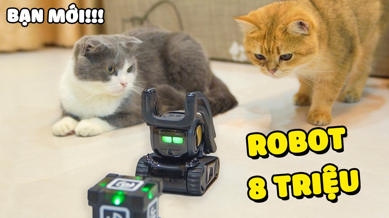Robot Vector 8 Triệu siêu thông minh| Các bé mèo ganh tị ??? | The Happy Pets #72