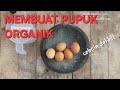 Pupuk organik dari bumbu dapur tanaman subur petani makmur
