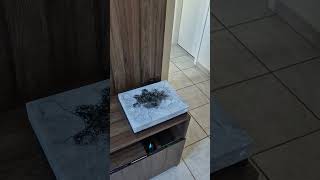 NOVA ATUALIZAÇÃO XBOX ONE X EM 2026! 😱 #xboxonex #xbox #shortvideo