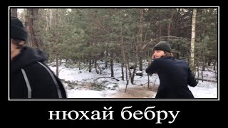 нюхай бебру