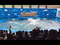 Sendai Umino-Mori Aquarium #trending #japan #travel #subscribers #youtube #subscribe #aquarium