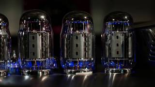 Margules Macotela Integrated Amplifier