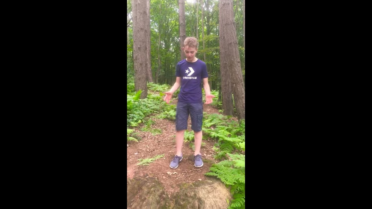 How to do jumping jacks and star jumps and the differences YouTube