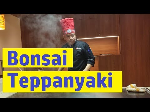 carnival-horizon-bonsai-teppanyaki-full-meal-and-menu