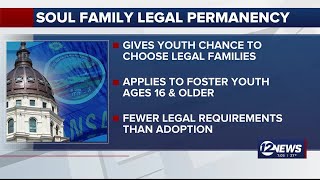 New bill would allow Kansas foster children to choose their families