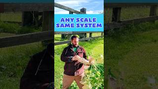 Regenerative Design: Small Garden, Same Power As Big Farm