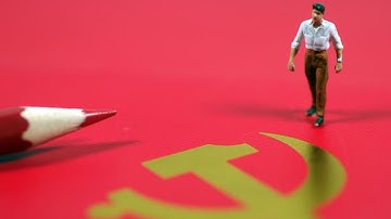 Understanding the CPC 3: How the Party makes decisions