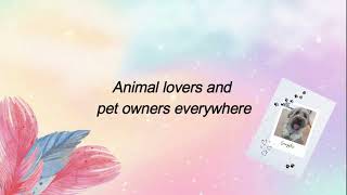 Animal Pets Mary Serrette - Book Trailer