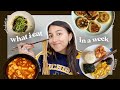 WHAT I EAT IN A WEEK 2021 🇰🇷(korean food & realistic asian recipes)