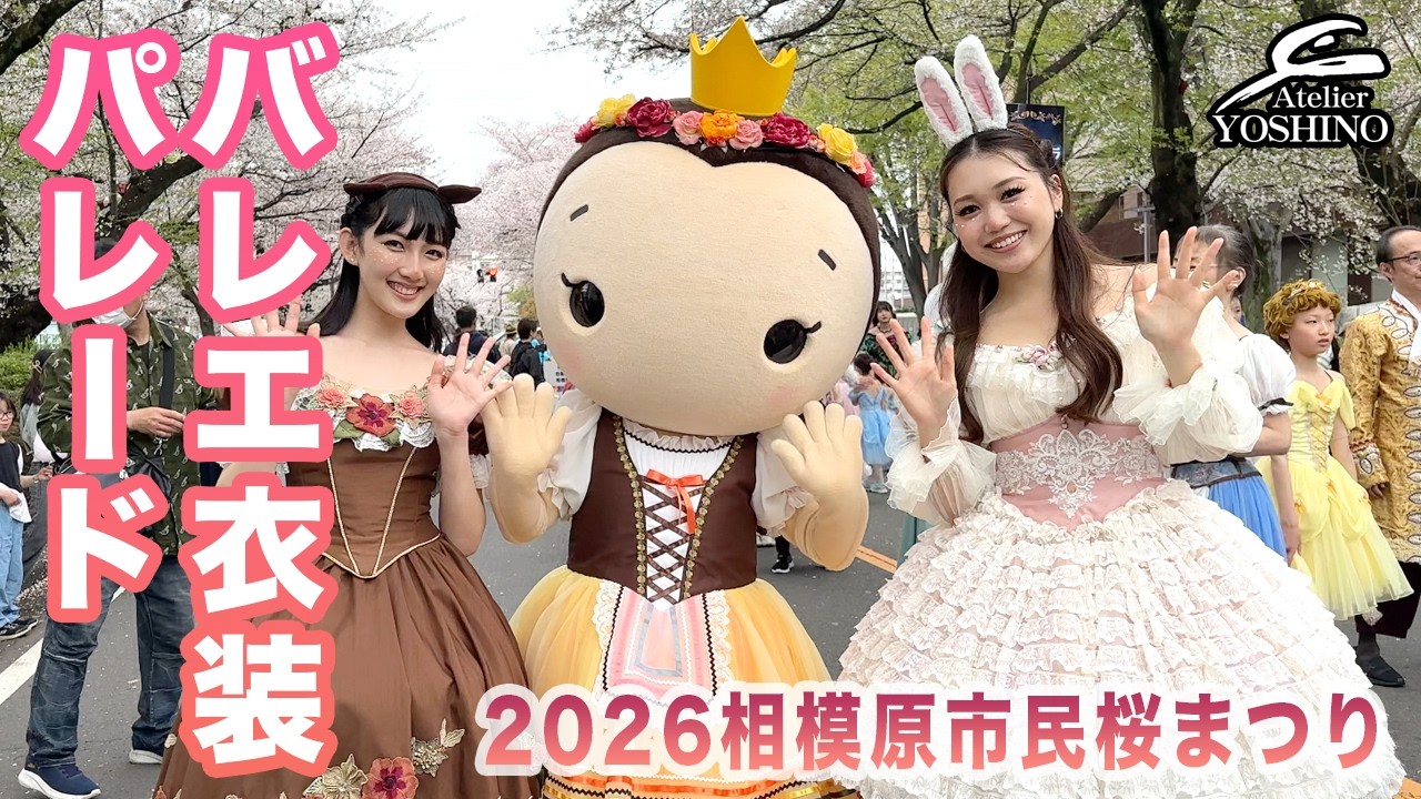 Cherry blossoms in full bloom! Ballet costume parade] We provided