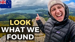 EPIC DAY TRIP From Christchurch To Akaroa, Little River, Banks Peninsula, New Zealand 🇳🇿