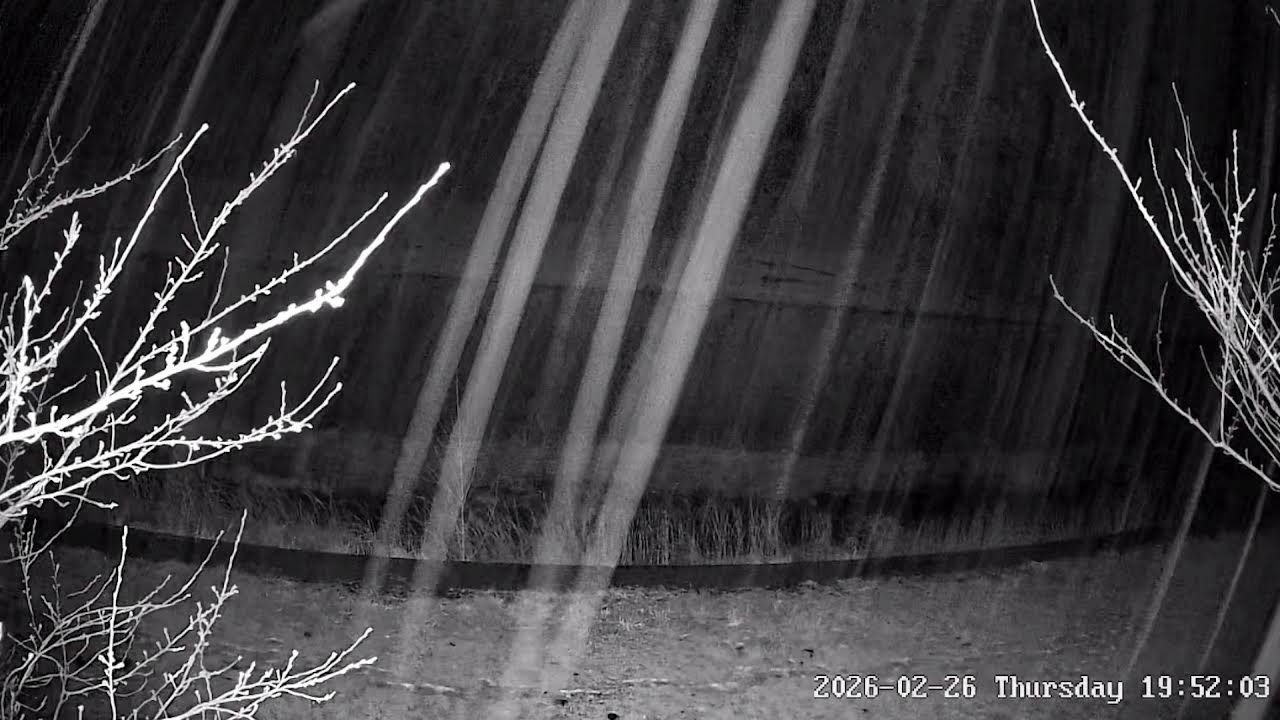 岩手県下閉伊郡岩泉町小本字小成ライブカメラ Iwate Shimoheigun Iwaizumicho Live Camera.world.cam