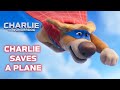 Super Dog's Biggest Rescue YET