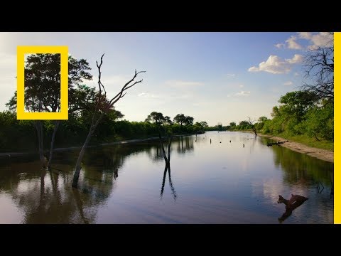 فيديو: هل مع الطبيعة؟