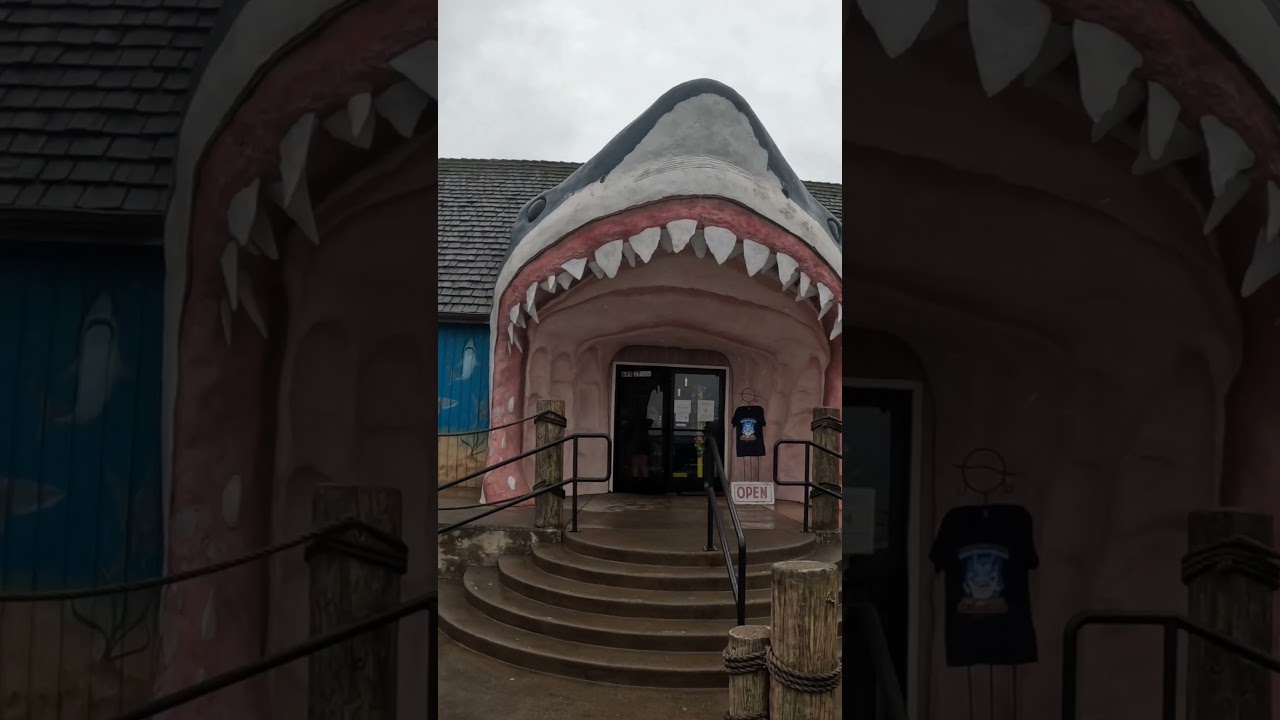 Sharkies Gift Shop--Ocean Shores Washington 
