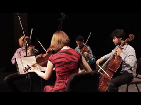 Friction Quartet performs Bad Romance by Lady Gaga