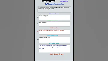 Light Dependent Reaction 62 | Quiz & Prep Guide | @GcsGoldenDreamExam