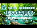 【528Hz・脳疲労回復】ソルフェジオ周波数を用いた自律神経を整える音楽。睡眠導入、ストレス緩和、疲労回復　＃脳の疲れを取る音楽＃自律神経を整える音楽　＃ソルフェジオ周波数