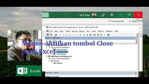 Excel VBA: Cara me-nonaktifkan tombol close pada Microsoft Excel