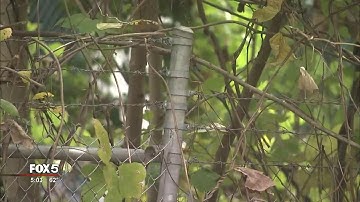 Police recover sweatshirt worn in Barcelona Wine Bar murder