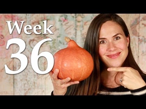 My Pregnancy @ 36 Weeks + Belly Shot - YouTube