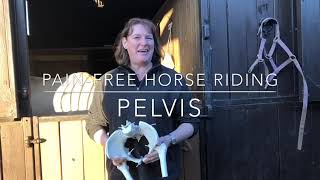 How your wonky pelvis affects your riding