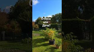 В отпуск или на дачу? #нашсадгермания #дача #жизнь #вгермании #отдых #отпуск #обзордачи #сад