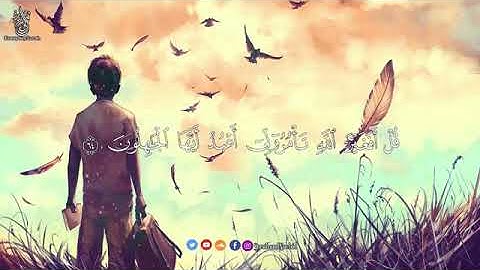 قران كريم بصوت جميل    ان الله غفور  رحيم      قران كريم