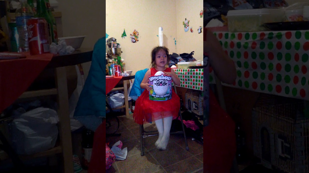 Hatchimal Christmas gift