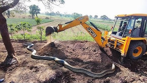 JCB 3dx Backhoe Loading Mud in Mahindra 475 JCB khudai work JCB working JCB tractor #jcb #jcbvideo