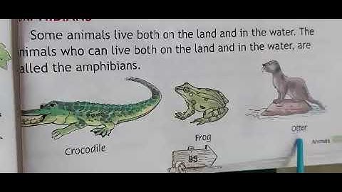 Grade-2nd Subject-E.V.S. Topic-Chapter-13 (Animals) Part-1