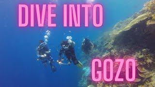Dive into Adventure Scuba Diving in Gozo  Travel Gozo  Malta