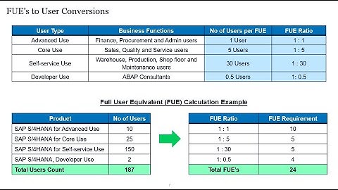 RISE with SAP Licensing | FUE Calculations