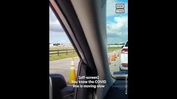 Turtle Walks Past Cars in COVID-19 Testing Line #Shorts