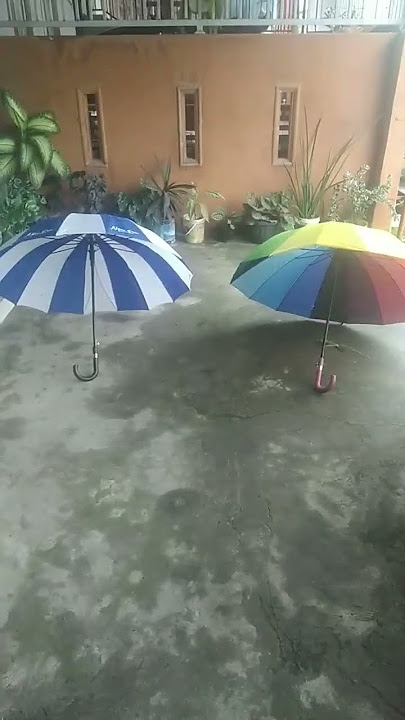 payu biru dan putih vs payu pelangi