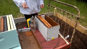 Installing Our First Nuc