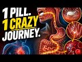 How A Pill Travels From Your Mouth To Target Cell