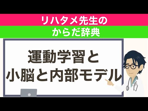 【運動学習】アニメでわかる小脳の働き【プルキンエ・下オリーブ核・】