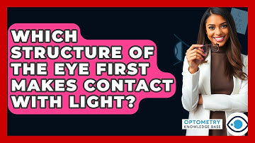 Which Structure Of The Eye First Makes Contact With Light? - Optometry Knowledge Base