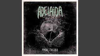 Adormidera